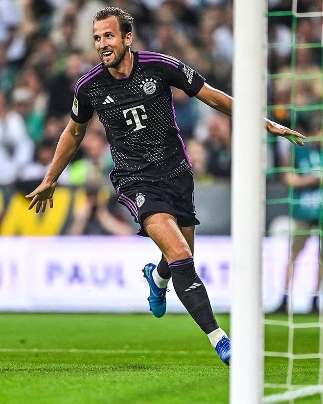 强意味着安 强意味着安